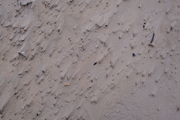 beach sand texture with water