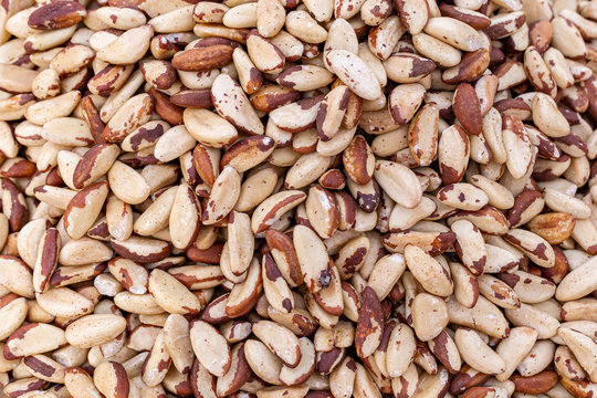 ger&ouml;stete Paran&uuml;&szlig;e