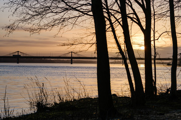 Obraz premium sunset over the city with dark tree trunk silhouettes in front