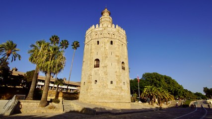 Fototapeta na wymiar Torre de Oro Sevilla