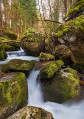 Naklejka na ściany i meble small waterfall in the forest