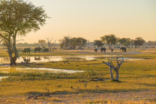 sunset in Hwang national parc, Zimbabwe