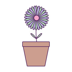 potted flower plant fill line