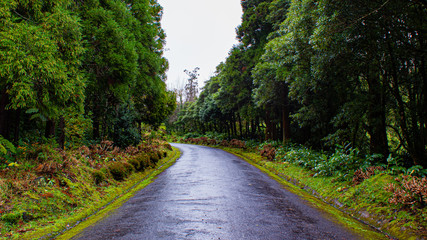 Camino a la montaña