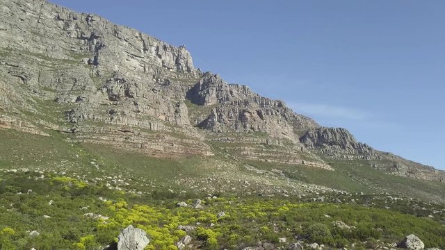 Aerial lower angle scenic drone flight view of Table Mountain in late afternoon sun against blue sky. Steep sand stone cliff and tectonic lines. Sustainable ecotourism in South Africa