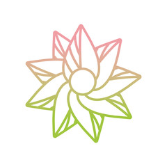 flower decoration plant gradient icon
