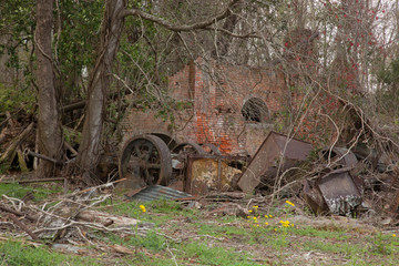 Louisiana mill ruins overrun with vines