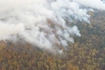 Fires in Russian forest, Transbaikal forest in fire, burning of