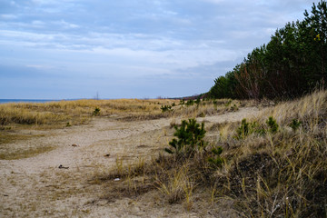 empty sea beach in autumn with some bushes and dry grass