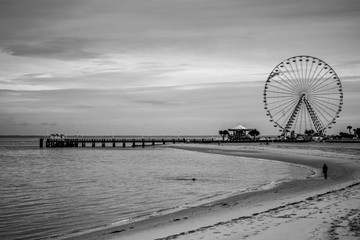La grande roue d'arcachon