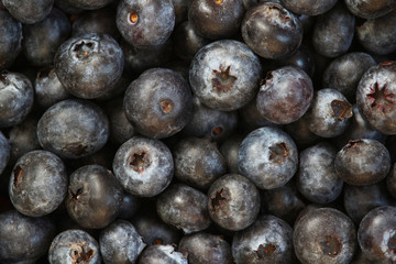 Background formed with ripe blueberry