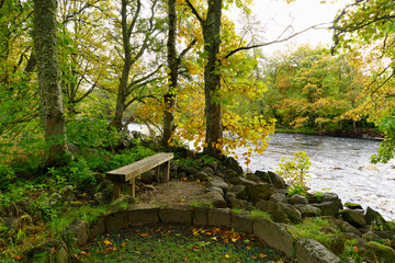 Wooden bench in the forest at a river in Scotland