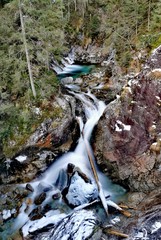 stream in forest