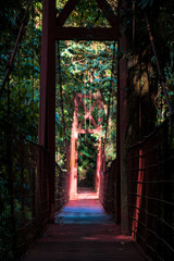 Suspension bridge in rainforest of Costa Rica