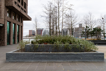 View behind the gardens at the port of rotterdam