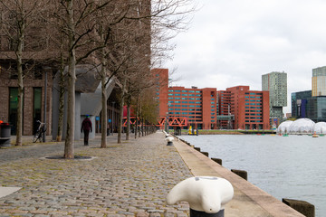 At the port of rotterdam with skyline