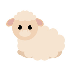 Isolated cute sheep