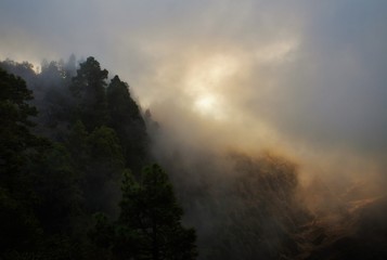 Naklejka premium Mgła na La Palmie