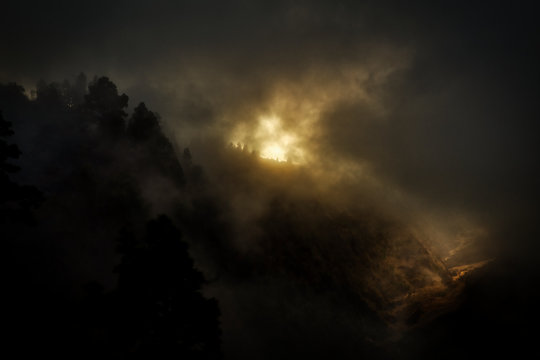 Canyon con nebbia
