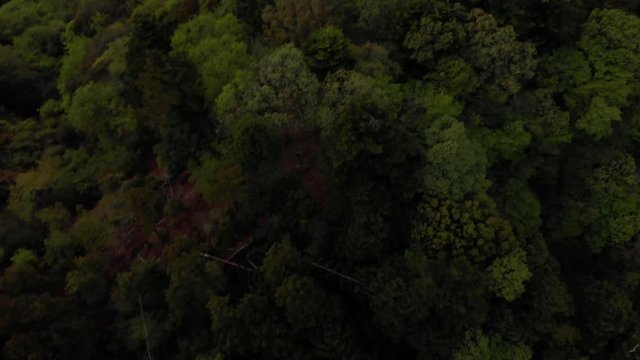 山間風景ドローン空撮