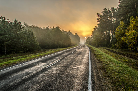 autumn morning landscape. Wet road after rain passes through the forest. The sun and trees are hidden in the fog. hard focus. hdr image.