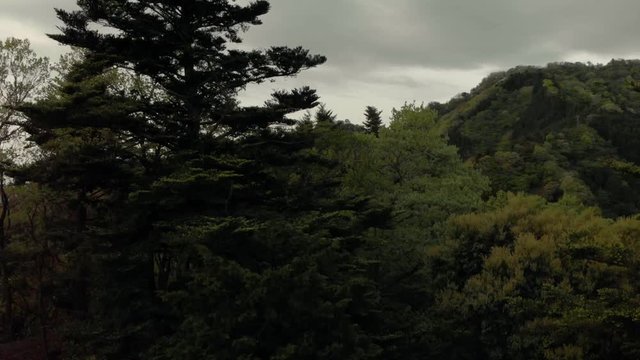 山間風景ドローン空撮