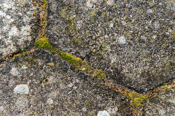 old paving slabs covered with moss and grass. stone texture. close-up. background
