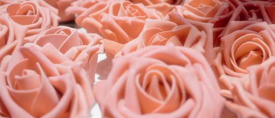 romantic pink roses in a window display
