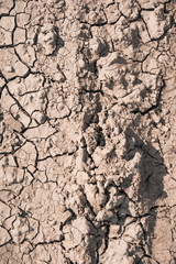cracked earth drought