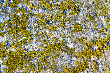texture old granite wall. background close-up. red moss on the surface