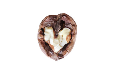 walnut natural hearth shape antioxidant isolated 