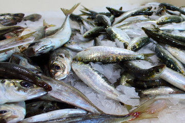 fresh fish on ice