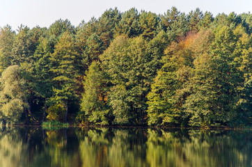 autumn landscape. reflection of trees in the water of the lake. total serenity