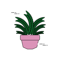 decorative potted leaves plants flat fill