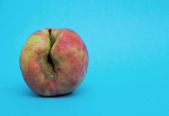 One yellow-red ugly organic fresh apple on a blue background. Close up