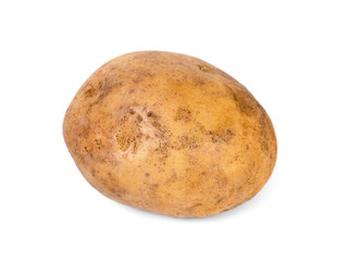 Single potato isolated on white background. Vegetable.