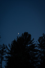 Fototapeta premium Moon in the night sky