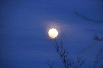 full moon in the sky