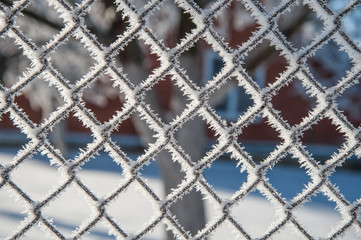 Fototapeta premium grid covered with snow, mesh covered with frost