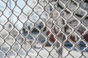 grid covered with snow, mesh covered with frost