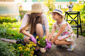 Gardening, planting - mother with daughter planting flowers into the flowerpot