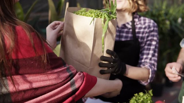 Unrecognizable people selling organic food in a local harvest market. Cropped footage of hands of customer giving money - american dollar note to a seller and take the paper bag with grocery. Sunshine