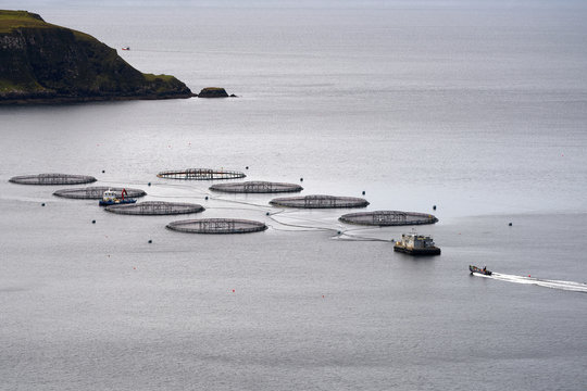 Fishing Aquaculture On The Isle Of Skye In Scotland