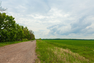 An empty gravel country road with trees along it. Deserted rural place. Forest belt along the way. Green field of fresh grass.