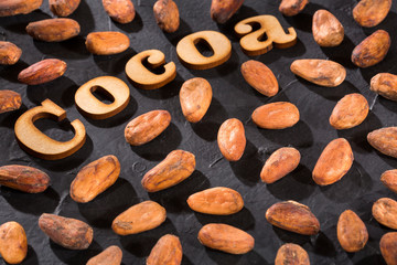 Organic cocoa beans - Theobroma cacao