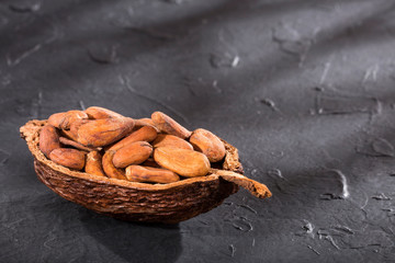 Organic cocoa beans - Theobroma cacao