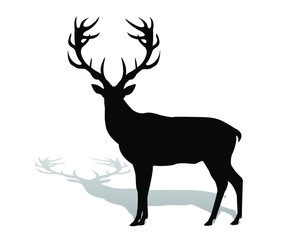 silhouette deer with great antler