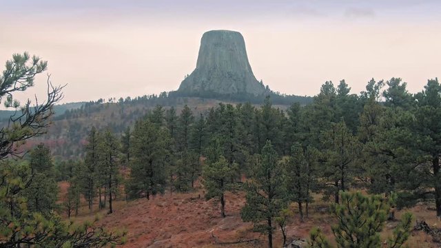 Aerial flying towards Devils Tower National Monument & pine forest, Wyoming, USA