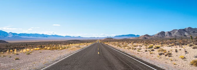 Fototapete Route 66 Endless road. Typical road in Nevada desert, USA.  © Thomas
