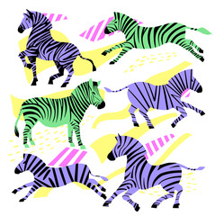 Zebra. Violet and green color. Set abstract  silhouette.Template modern fashion design.